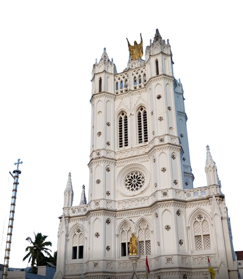 Picture of the author